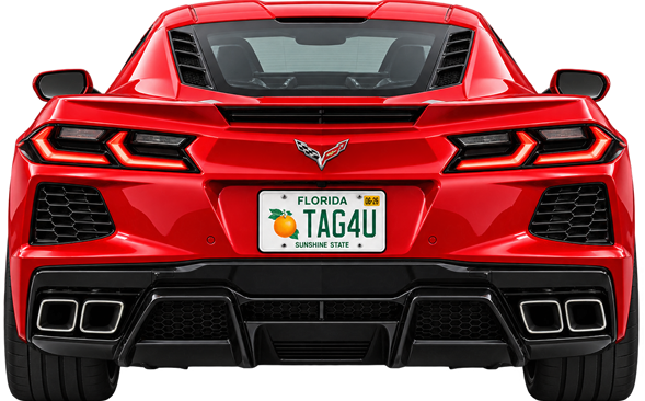 Rear view of a silver Porsche with a Florida TAG4U license plate